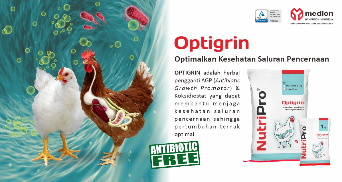 IKLAN-OPTIGRIN (WEBSITE)-DIDIAP (PRD21030062) ID