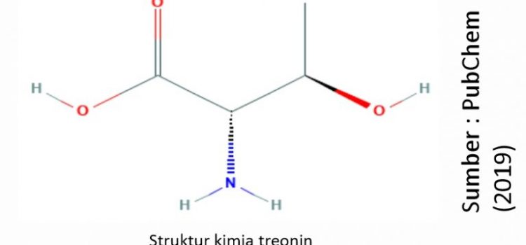 Mengenal Asam Amino Treonin