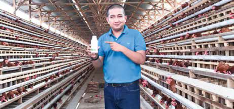 Suplemen Herbal Tingkatkan Imunitas Ayam