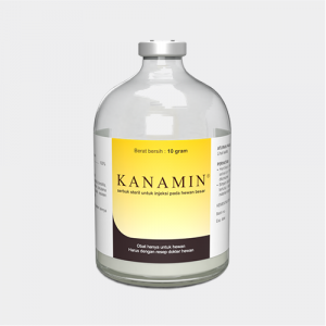 Kanamin