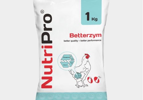 Betterzym