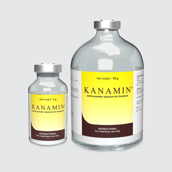 Kanamin