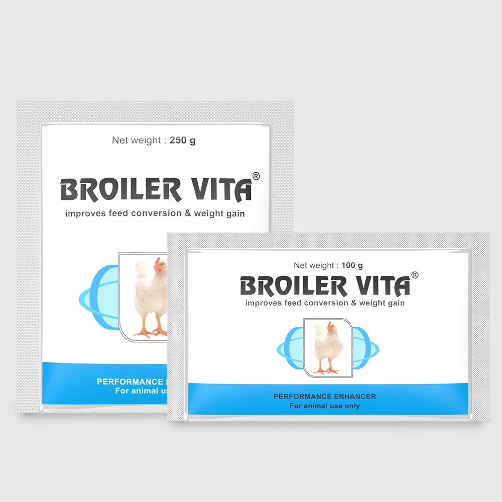 Broiler Vita