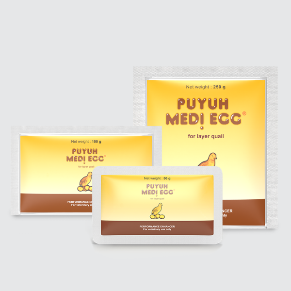 Puyuh Medi Egg