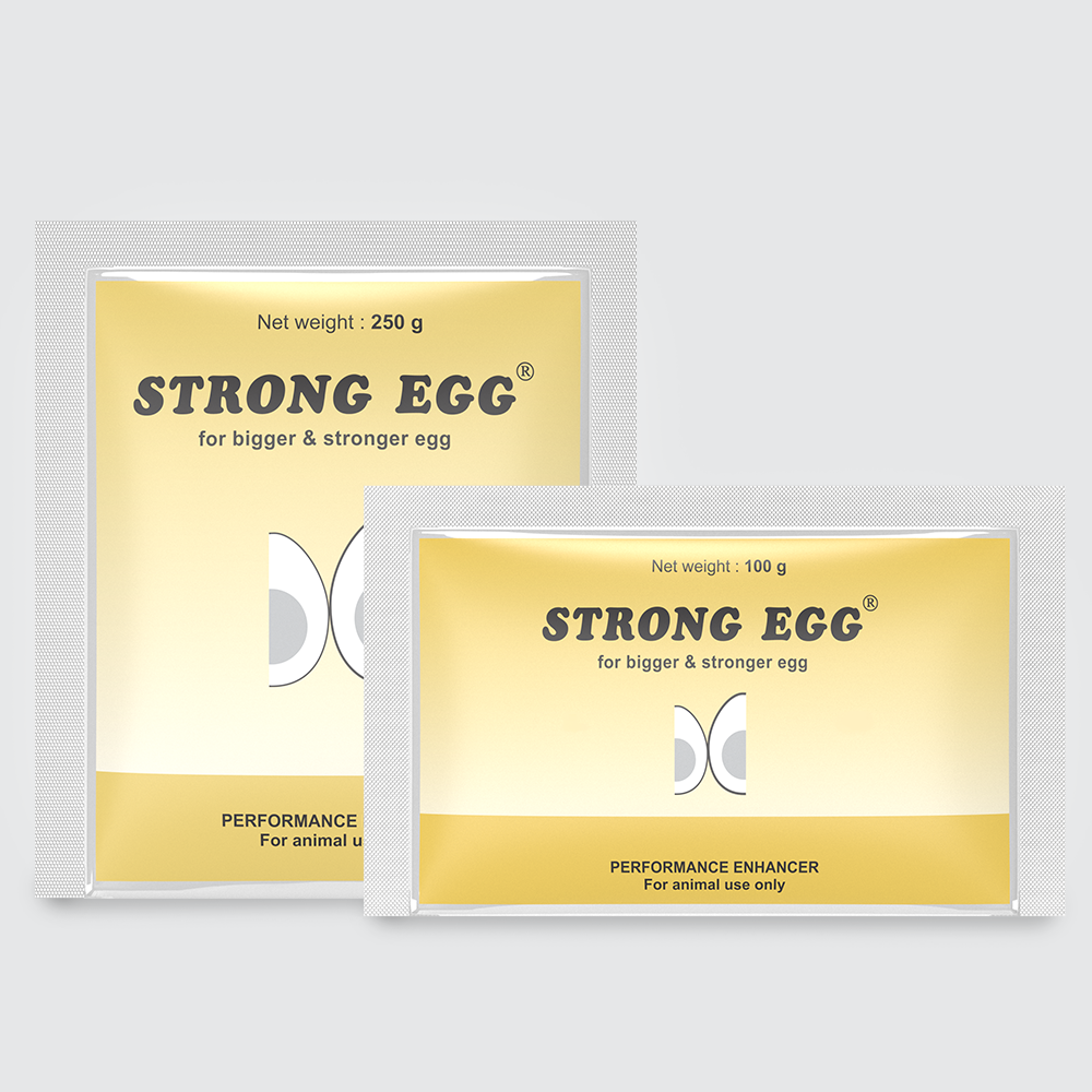 Strong Egg