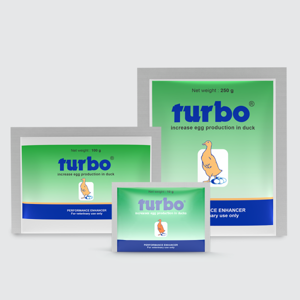 Turbo
