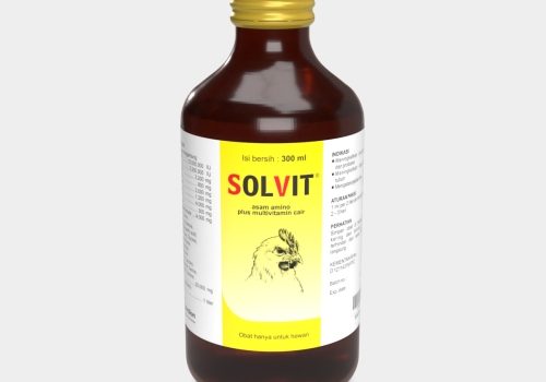 Solvit