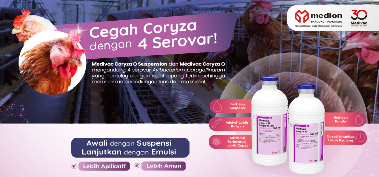 Kendalikan Coryza dengan yang Homolog: Medivac Coryza Q & Medivac Coryza Q Suspension Image Cover_artikel MCQ MCQS