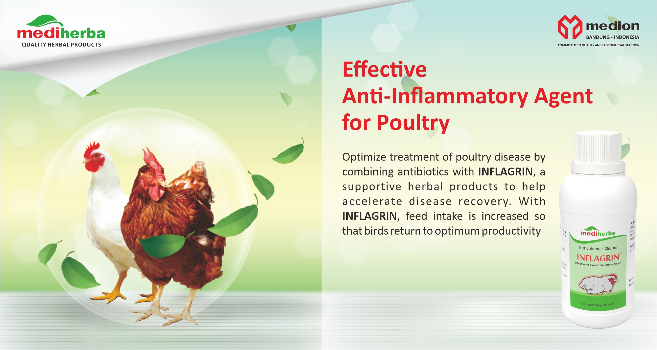 IKLAN (WEBSITE)-INFLAGRIN-DIDI AP (PRD23020030) LN