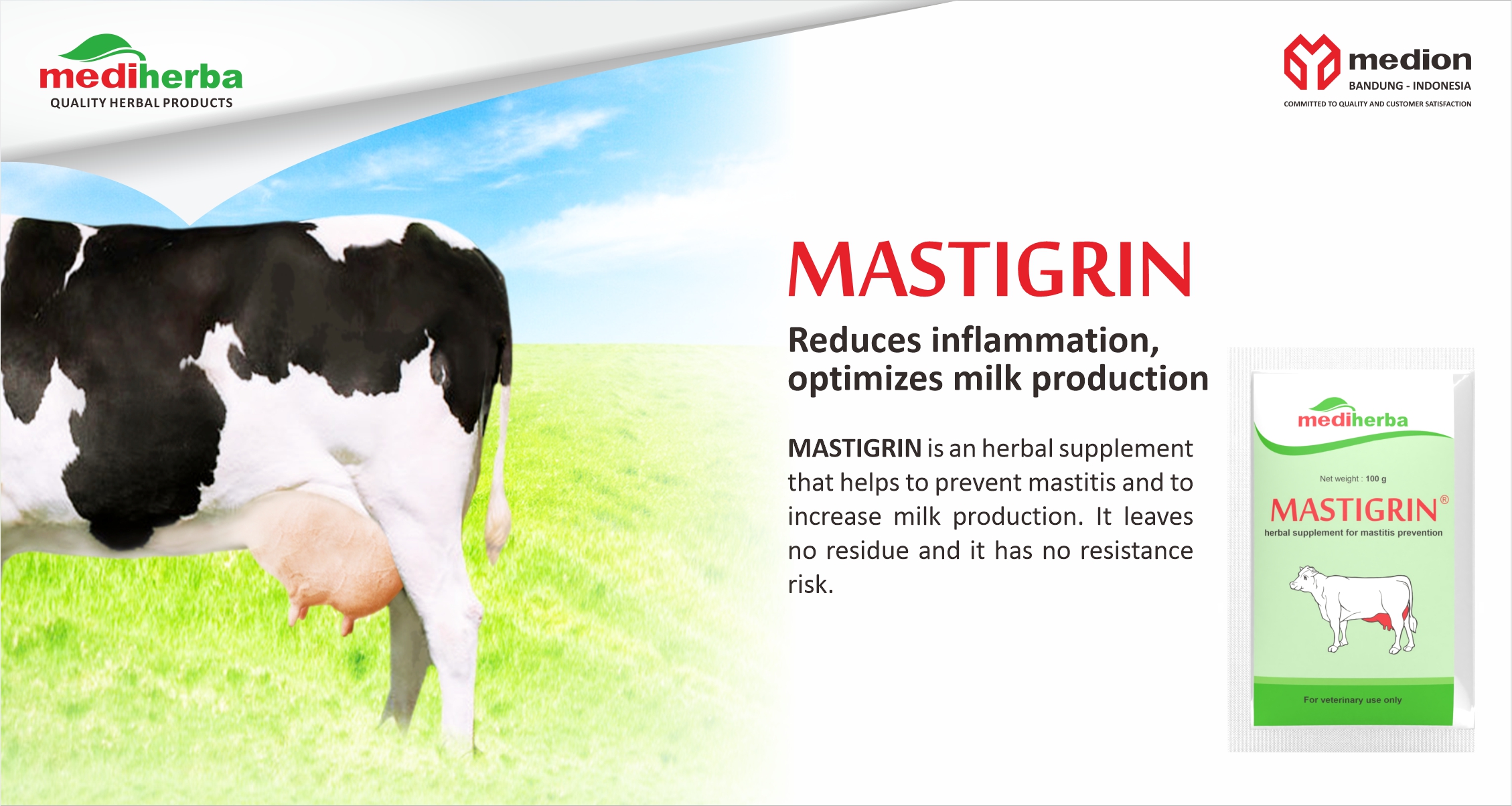 IKLAN (WEBSITE)-MASTIGRIN-DIDI AP (PRD21090178) LN