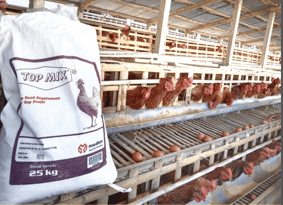 Top-Mix-dari-majalah(1)