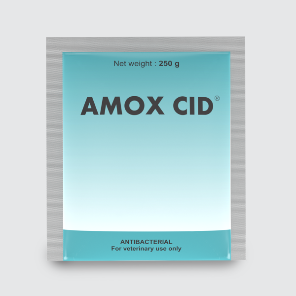 Amox Cid