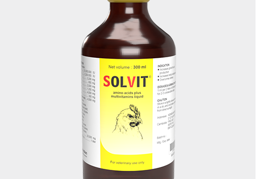 Solvit