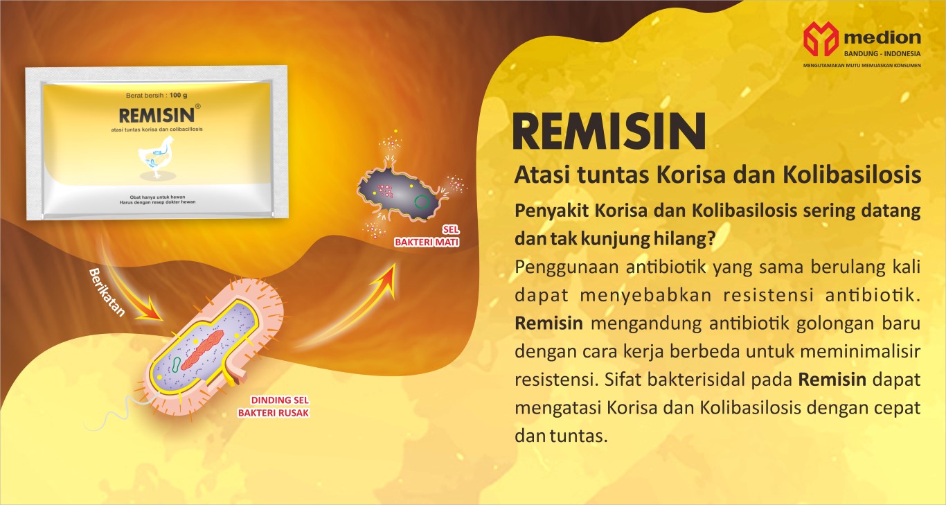 IKLAN REMISIN ANAM GRA23070161 ID (Medium)