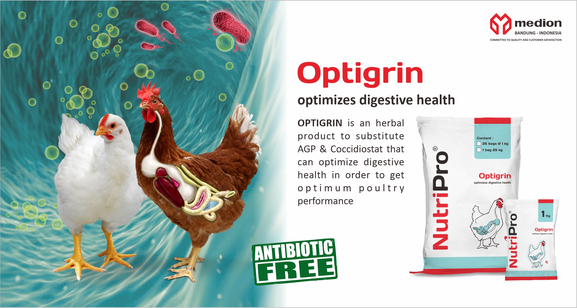 IKLAN (WEBSITE) OPTIGRIN PRD21090178 LN