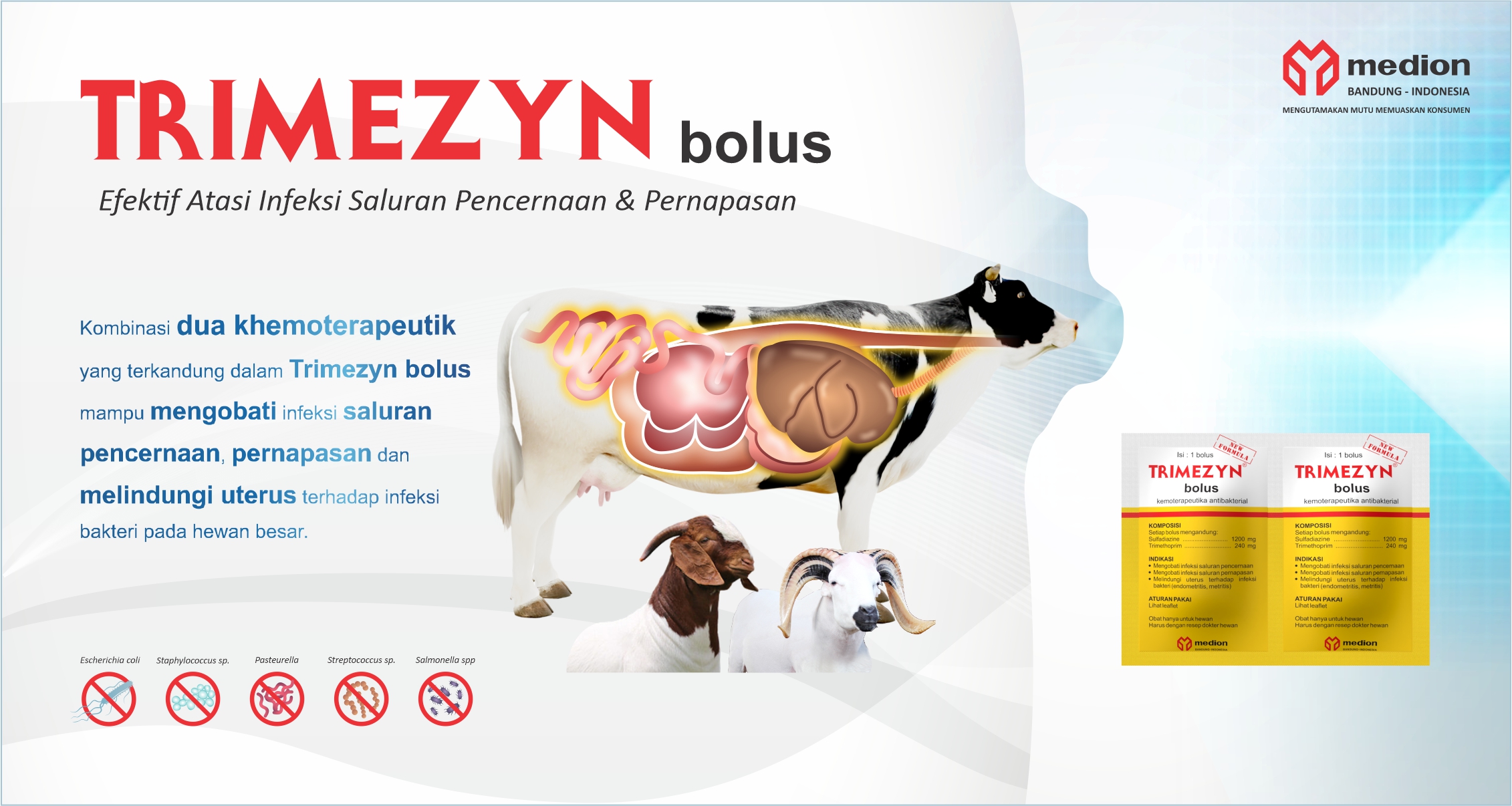 IKLAN WEBSITE TRIMEZYN BOLUS NOVENCIUS GRA23080250 ID