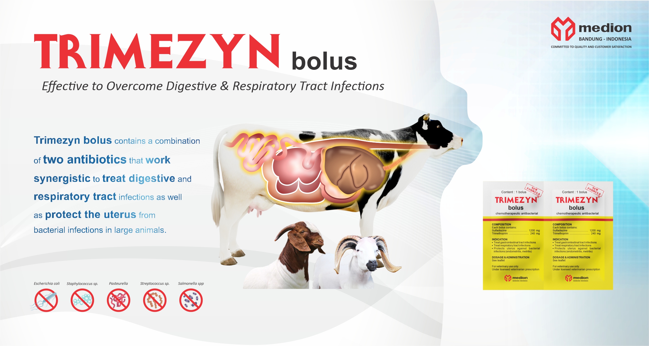IKLAN WEBSITE TRIMEZYN BOLUS NOVENCIUS GRA23080251 LN