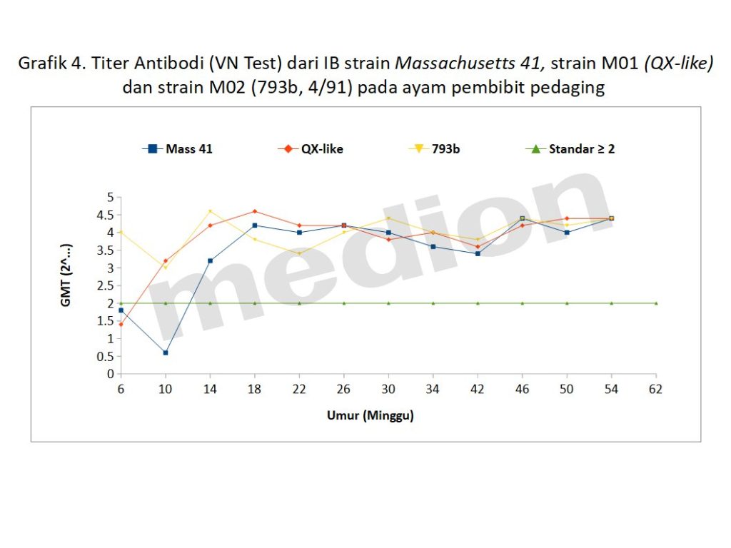 Grafik 4. Titer Antibodi (VN Test) dari IB strain Massachusetts 41, strain M01 (QX-like) dan strain M02 (793b, 4/91) pada ayam pembibit pedaging
