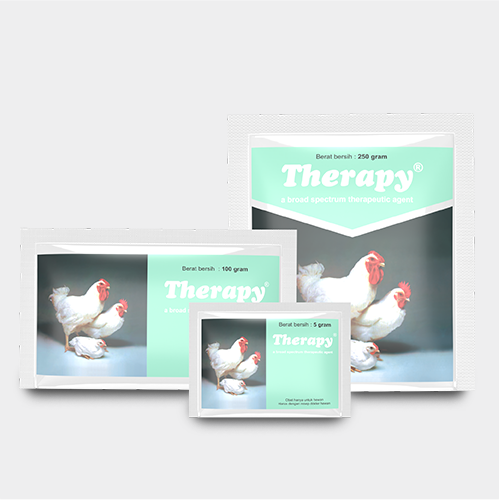 12-Therapy-1
