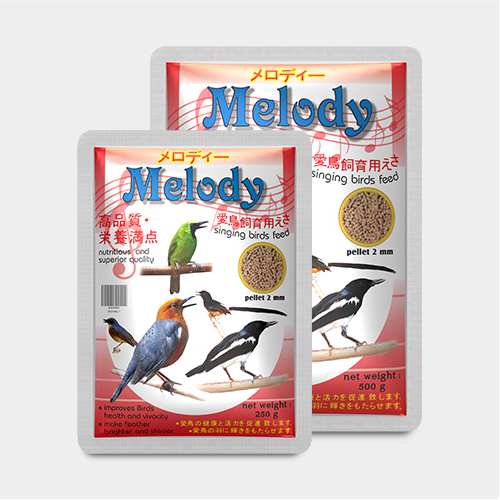 54-Pakan-Burung-Melody