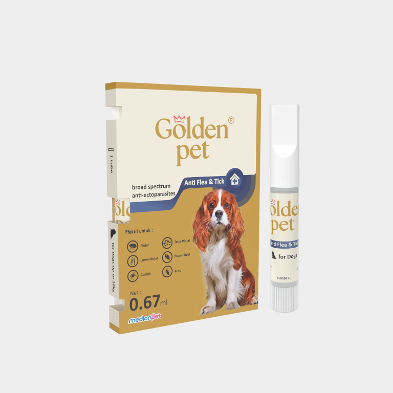 AFT DOGS SET 0