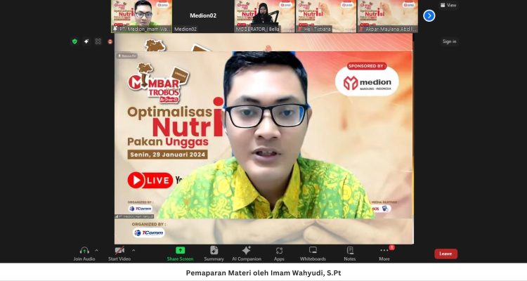 Foto-untuk-Artikel-Dinding_Acem-qjc6ta42ak9dkheepqkixphyb1fvgnp82tmu6vwx7k