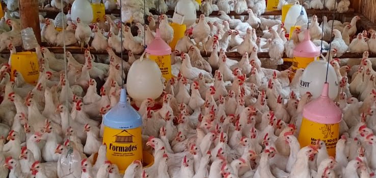 MARET-2022-TOLTRADEX-3-738x350