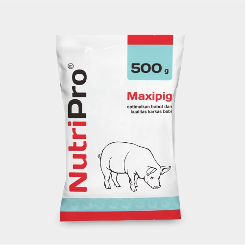 MAXIPIG-500G
