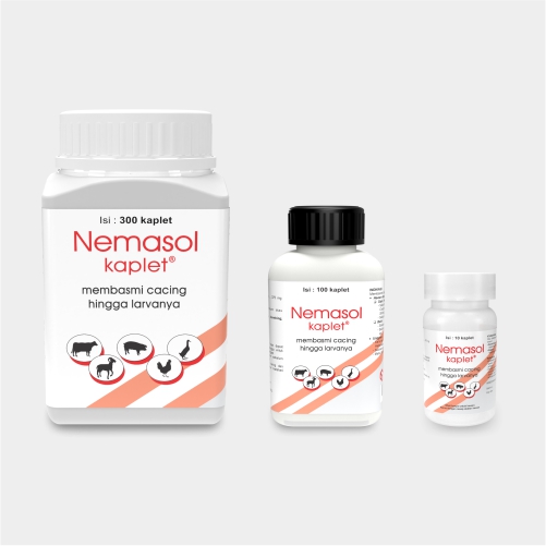 NEMASTOL-KAPLET-GABUNGAN-ID