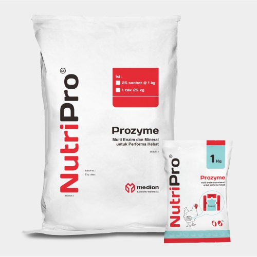 PZ-PROZYME-ID-WEBSITE