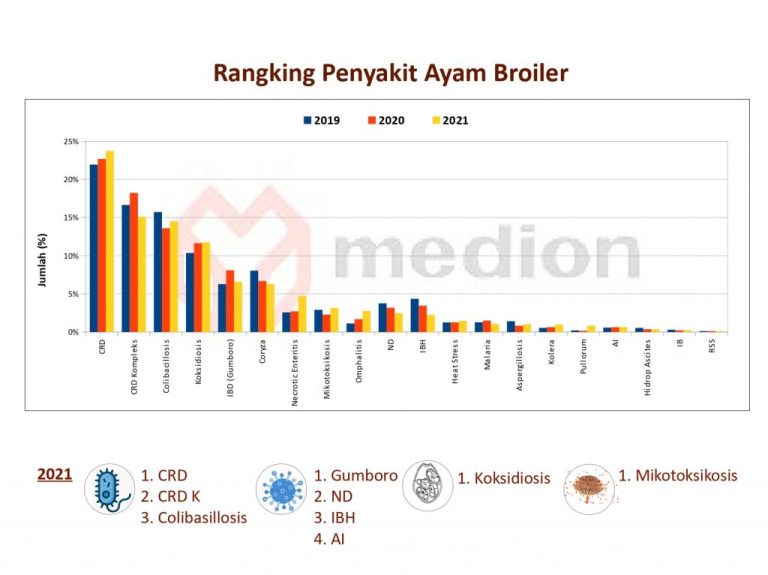 RP-Terupdate-September_page-0001-1024x767