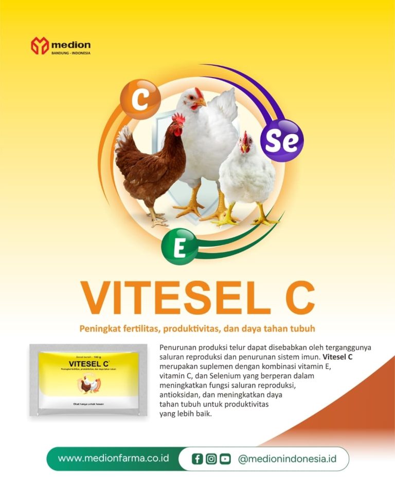 Vitesel C