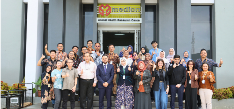 Feature Image Artikel