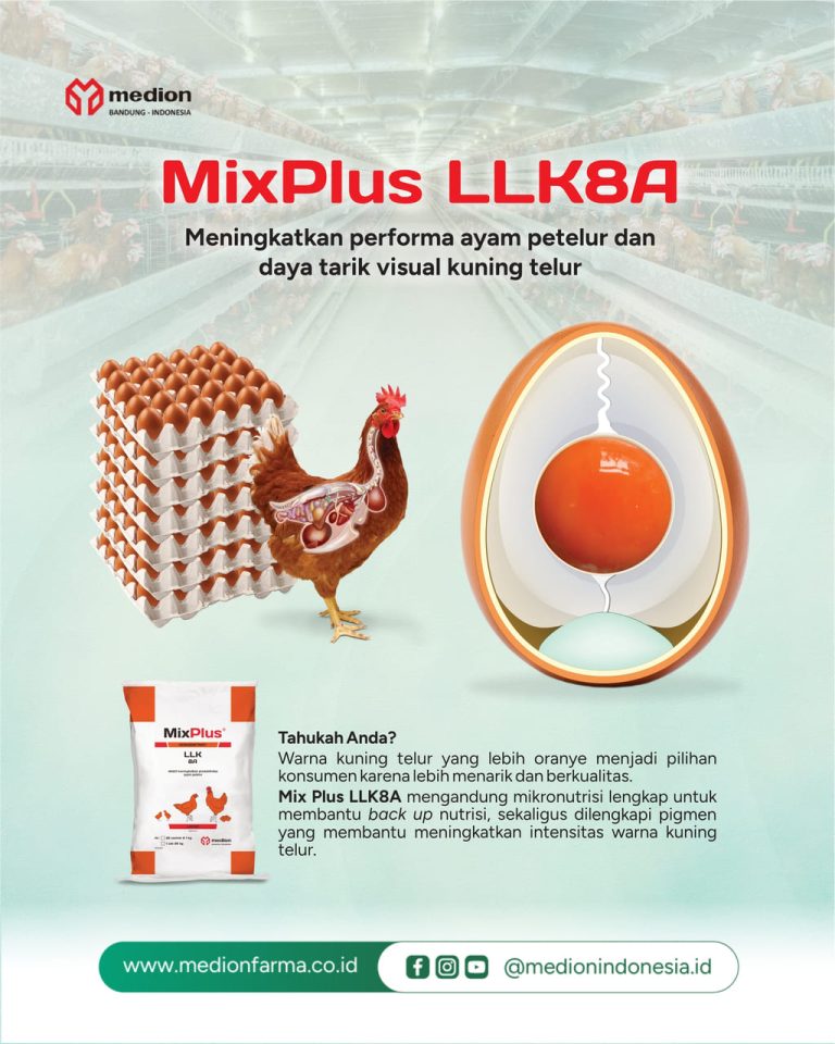 Beranda 9 MixPlus LLK8A