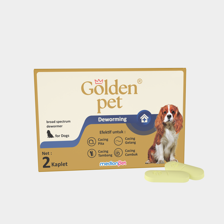DWM DOG 2 KAPLET AMPLOP_bg