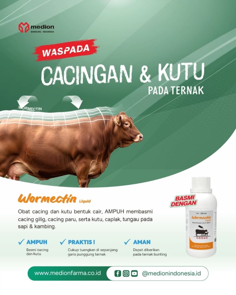 Beranda 9 Wormectin Liquid