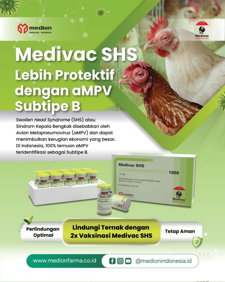 Beranda 16 Medivac SHS